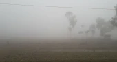 সিলেটে তাপমাত্রা নেমেছে ১২ ডিগ্রিতে