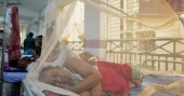 ডেঙ্গুতে ২৪ ঘণ্টায় ২ মৃত্যু, হাসপাতালে ৯৫৫