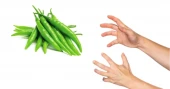 Price of green chilli to come down to tolerable level within 2-5 days: Agriculture Minister
