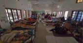 Dengue claims 8 more lives, 1,782 hospitalised in 24 hrs