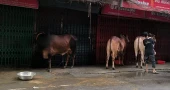 Shortage of butchers delays sacrificial slaughter on Eid Day in Dhaka