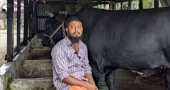 Sohag Mridha, who gifted cow named 'Kala Manik' to Khaleda Zia, arrested over assault related to family dispute