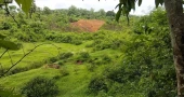 BSF’s canal-digging attempt thwarted by BGB in Feni