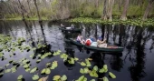 Georgia's Okefenokee Swamp, China's porcelain sites among new UNESCO World Heritage additions