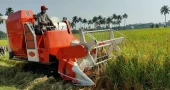 Govt unveils roadmap to modernise agriculture, strengthen food security