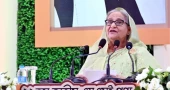 PM Hasina favours labour-intensive industries along with modern tech