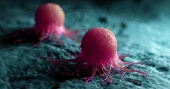Chinese scientists unveil new anti-tumour immune mechanism