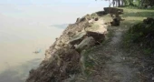 River erosion leaves 15 families homeless in coastal Khulna