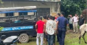 9 jailed for slaughtering 13 horses, packaging meat in Manikganj