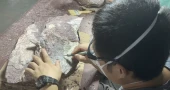 Hong Kong discovers dinosaur fossils for the first time.