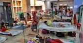 Dengue: 155 hospitalised in 24hrs