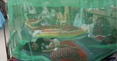 Three more die of dengue, 580 hospitalised