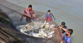 Govt intensifies nationwide drive to boost fish production, protect biodiversity