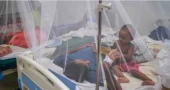 3 more die of dengue, 428 new cases recorded in 24hrs