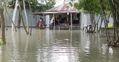 Low-lying areas flooded in Lalmonirhat as Teesta swells