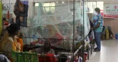 Dengue: 2 more die, 723 hospitalised in 24 hours