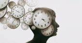 Scientists restore brain protein and reverse signs of aging in mice