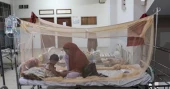 Death toll reaches 43 as 3 more die of dengue in 24 hrs