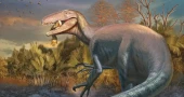 Scientists unearth new dinosaur species in Argentina