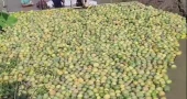 Floating pomelos of the hills: A unique blend of nature, tradition and innovation