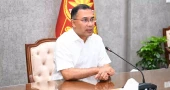 Vetiver grass to be planted to protect roads, embankments