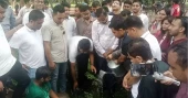 DU Chhatra Dal launches tree plantation drive in memory of July martyrs