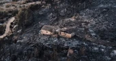 Firefighters battle deadly wildfire in southern Spain