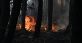 84,000 return home as France gains ground against massive wildfire