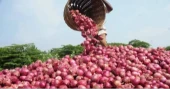 Govt may allow onion imports if prices remain high this week