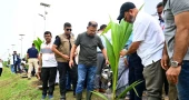 PM urges people to protect environment through collective action