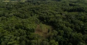 Colombia turns to drones to spray coca crops amid surge in cocaine output