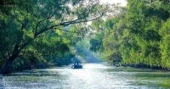 Bangladesh  bans new industrial establishments within 10 km of Sundarbans