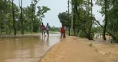 Low-lying areas in Sherpur flooded as upstream hill runoffs swell rivers 