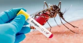 Dengue: One dies, 113 hospitalised in 24 hours