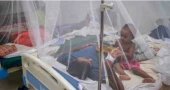Dengue: 343 more dengue cases reported in 24hrs