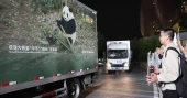 Two giant pandas arrive in Atlanta under new US-China agreement