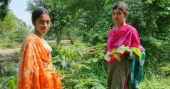 Every tree needs a keeper: lessons from Mohishkhola