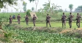 BSF pushes 20 more people into Bangladesh through Dinajpur, Thakurgaon borders