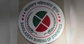 One in three Bangladeshis fell ill in 2025, BBS survey shows