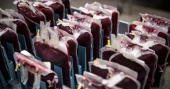 Japan trials ‘Universal Artificial Blood’ that could revolutionise emergency care