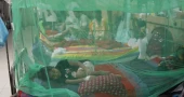 3 more die of dengue, 467 hospitalised