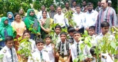 Tree plantation programme inaugurated in Jashore