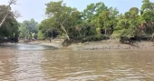 Sundarbans reopened to fishermen, tourists after three-month ban