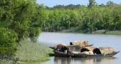 GoB, UNDP, GEF launch initiatives to conserve biodiversity, wetlands