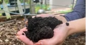 Soil is key to a healthy garden, experts say