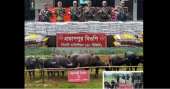 BGB seizes Indian goods worth Tk 3.3 crore in Sylhet border drives