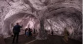 Monumental cave art transforms Paris’ oldest bridge into immersive sensory experience