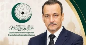 Ismail Ould elected new OIC secretary general