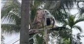 Youth in ICU after electrocution while hanging Portugal flag in Sylhet