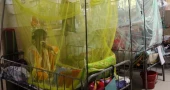 Dengue claims 8 more lives, 1,860 hospitalised in 24 hrs
